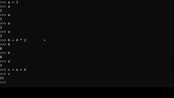 Practical Python: Learn Python Basics Step by Step- Python 3 - Variables Instructional Video