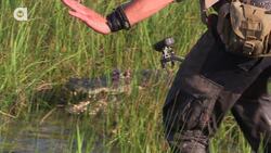 CLOSE CALL! Alligator Attacks Camerman Instructional Video