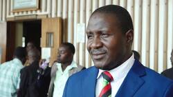 Ugandan opposition figure Bobi Wine freed on bail Instructional Video