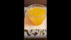 Never Wear Shorts on a Flight Instructional Video