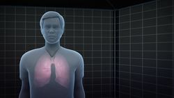 China identifies new coronavirus strain for Wuhan outbreak Instructional Video