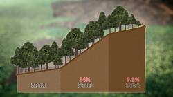 Amazon deforestation increasing under Bolsonaro’s government Instructional Video