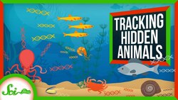 eDNA: How Scientists See Hidden Animals Instructional Video