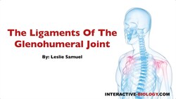 079 The Ligaments of the Glenohumeral Joint Instructional Video