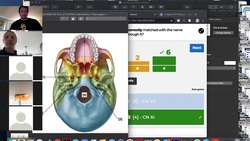 Baylor DPT | Anatomy 2 Kahoot Session (4-16-2020) Instructional Video