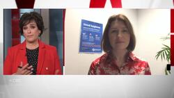 Cruise ships no more risky than any semi-closed environment, doctor says News Clip