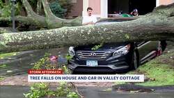 Powerful storms cause tree to fall on top of Rockland County home Instructional Video