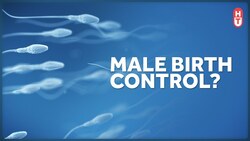 Why Isn't there a Birth Control Pill for Males? Instructional Video