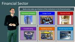 Other Financial Institutions in the Financial Sector Instructional Video