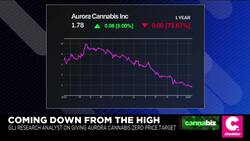 Aurora Faces Uncertain Future Amid Concerns Reorganization Won't Be Enough News Clip