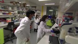 Rishi Sunak visits Imperial's Centre for Translational and Experimental Medicine News Clip