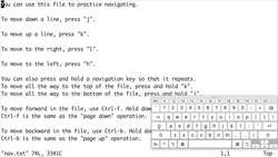 Vim Masterclass - Exercise Two - Essential Navigation Commands - Walkthrough Instructional Video