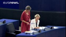 EU’s competition head defends Apple tax ruling in European Parliament debate News Clip