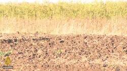 Farmers fear impact of Nile River dam News Clip