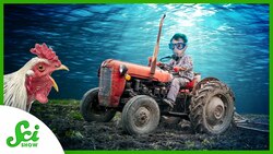 5 Underwater Farmers Instructional Video