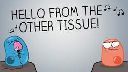 Intro to Cell Signaling Instructional Video