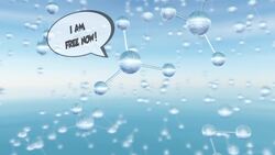 Why Do Bubbles Form In A Glass Of Water? Instructional Video