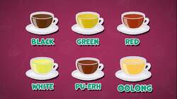 I WONDER - Are There Different Types Of Tea? Instructional Video