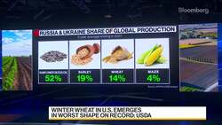 Wheat Jumps on U.S. Crop Worries, Ukraine Export Issues News Clip