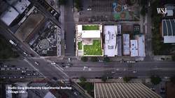 Jeanne Gang on the Role of Architecture at a Time of Global Crisis Instructional Video