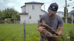 Café Fukuro Sabo (Owl Café) Instructional Video