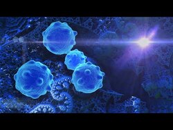 Innate Lymphoid Cells Instructional Video