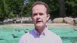 London Zoological Society Director General on financial concerns over Covid-19 lockdown News Clip