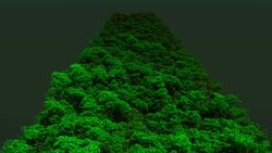 Amazon Canopy Comes to Life through Laser Data Instructional Video