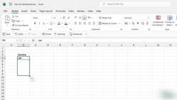 Microsoft Excel 2021365 - Beginner to Advanced - Entering and Editing Data Instructional Video