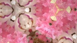 defocused , Surreality abstract motion graphics Stock Footage