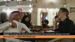 LGBT activists protest at FIFA Museum after Qatari ambassador's anti-gay comments News Clip
