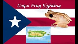Coqui Frog Sighting Instructional Video