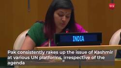India slams Pakistan after PM Kakar raises Kashmir issue in UNGA News Clip