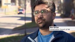 Blaine Higgs’s big picture: Carbon tax alternative a non-starter? News Clip