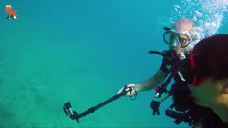 LOOKOUT! Toxic Starfish! Instructional Video