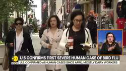California Confirms First Severe Human Case Of Bird Flu News Clip