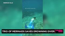 One Good Thing: Diver Saved By Mermaids News Clip