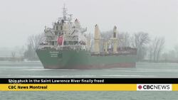 Ship stuck in the Saint Lawrence River finally freed News Clip