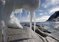 Enthalpy change Instructional Video