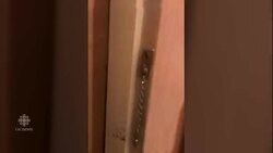 Saudi teen who fled family says freedom was worth risking her life News Clip