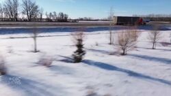 CBC Manitoba holiday show block two News Clip