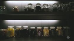 MUME Instructional Video