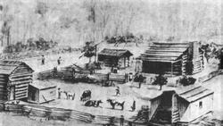 Starving Time Instructional Video