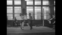 Women boxing in gym in Boston News Clip