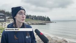 Volunteers in N.S. collect water samples to track marine life News Clip