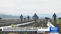 Immigration raids to continue at worksites, resuming DHS crackdown News Clip