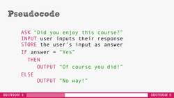 Describe computer programming : Pseudocode Instructional Video