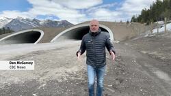 Wildlife corridors a key topic at the Canadian Conference on Ecological Connectivity News Clip