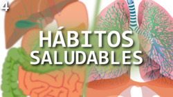 Hábitos saludables del aparato digestivo y respiratorio Instructional Video