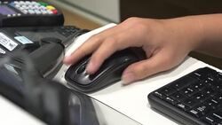 Labour in office - woman typing on pc Stock Footage